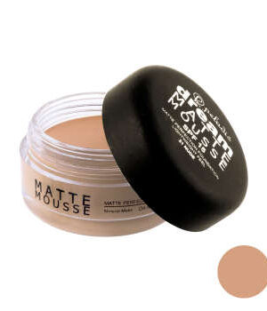 کرم پودر فشرده گریم پارس پلادیس سری Matte Mousse شماره 306