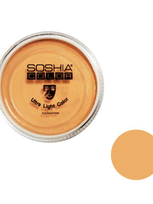 کرم پودر فشرده سوشیا شماره B2