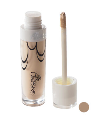 کانسیلر الستر شماره 601