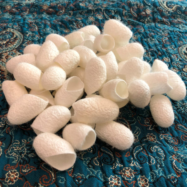 پیله ابریشم بانوی ابریشمی کد W-W-20 بسته 20 عددی
