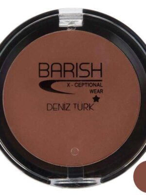 رژگونه باریش شماره 504