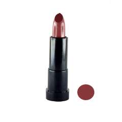 رژ لب جامد پلادیس مدل 3D شماره 301