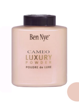 پودر تثبیت کننده آرایش بن نای مدل BV-51