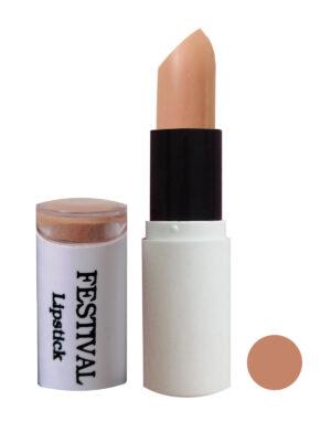 رژلب جامد فستیوال شماره 13