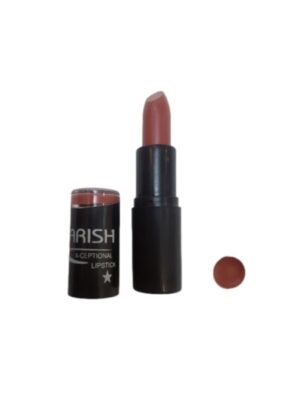 رژ لب جامد باریش شماره 415