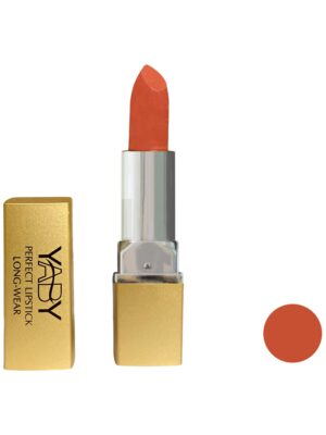 رژ لب جامد یابی شماره y-06