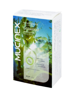 صابون ضد باکتری ماسینکس مدل SEAWEED وزن 120گرم