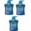 شامپو بدن دتول مدل ProFresh Cool حجم 625 میلی لیتر مجموعه 3 عددی (مشخصات کامل+خرید)