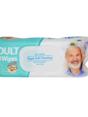 دستمال مرطوب دلفین مدل Adu01 بسته 90 عددی